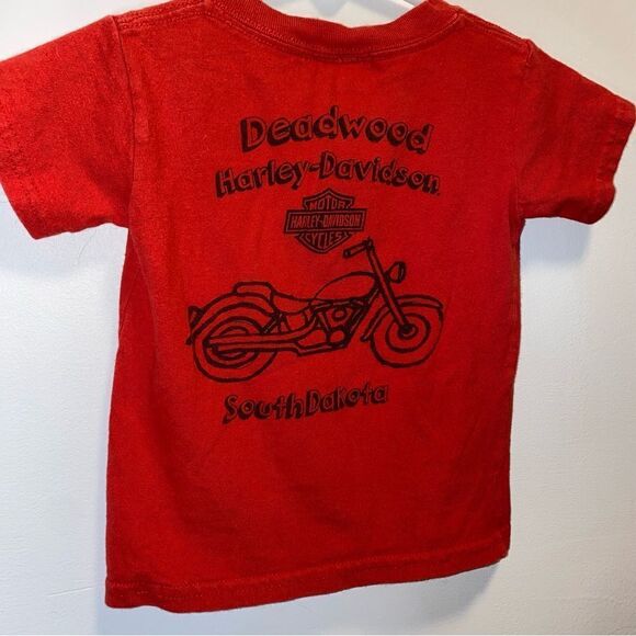 Kid’s Harley Davidson’s Double Sided Motorcycle Graphic T-Shirt - Picture 4 of 6